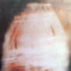 Meet your Posher, Caitlin